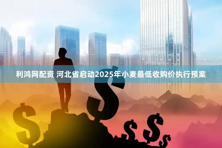 利鸿网配资 河北省启动2025年小麦最低收购价执行预案