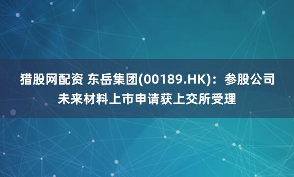 猎股网配资 东岳集团(00189.HK):参股公司未来材料上市申请获上交所受理