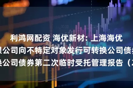 利鸿网配资 海优新材: 上海海优威新材料股份有限公司向不特定对象发行可转换公司债券第二次临时受托管理报告（2025年度）