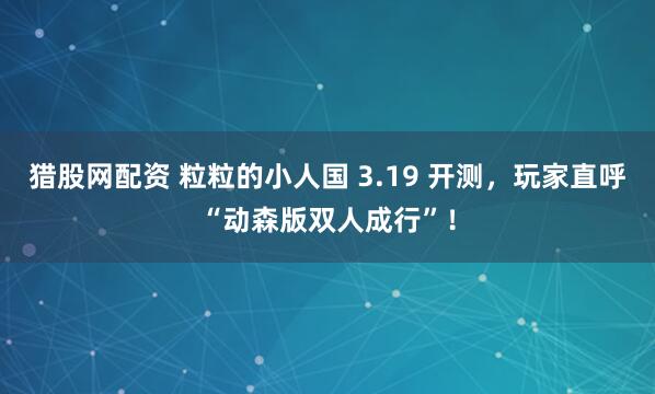 猎股网配资 粒粒的小人国 3.19 开测，玩家直呼“动森版双人成行”！